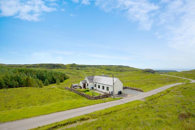 Thumbnail Detached bungalow for sale in Glengorm, Tobermory, Isle Of Mull