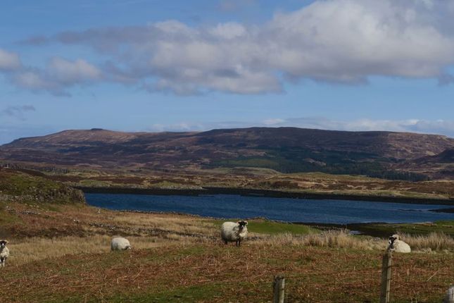 Thumbnail Land for sale in Skinidin, Dunvegan, Isle Of Skye