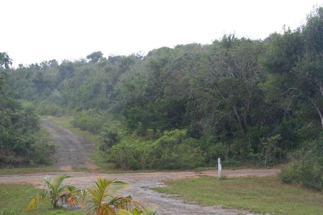 Land for sale in Long Beach, Abaco, The Bahamas