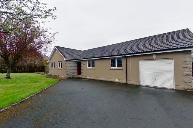 Detached bungalow to rent in The Birches, Foveran