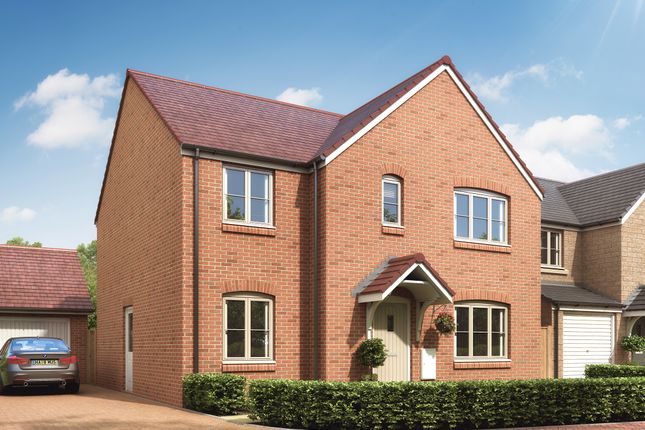 Thumbnail Detached house for sale in "The Kielder" at Desborough Road, Rothwell, Kettering
