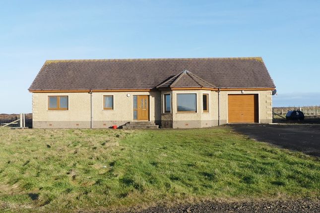 Thumbnail Bungalow for sale in Blackhill, Killimster, Wick