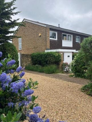 Thumbnail Semi-detached house for sale in Buckingham Gardens, West Molesey