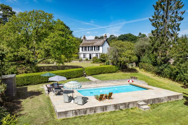 Dalwood, Axminster photo 3