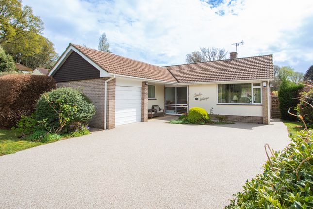 Bungalow for sale in Beech Park, West Hill, Ottery St. Mary