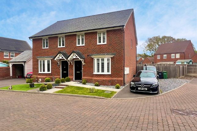 Thumbnail Semi-detached house for sale in Nickles Close, Bexhill-On-Sea