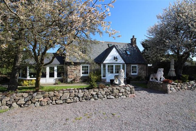 Restaurant Cafe For Sale In Tarland Aboyne Ab34 Zoopla