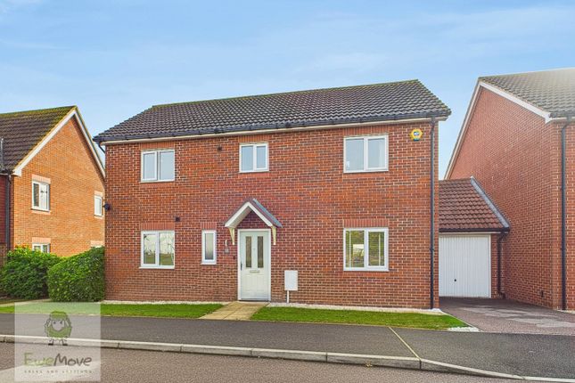 View Of The Front Of The House