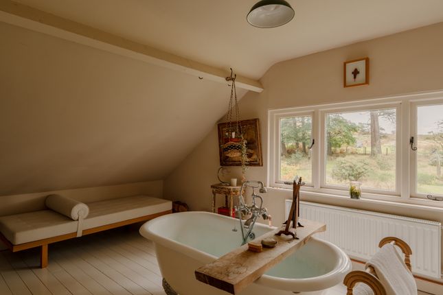 314764 - _A742005-Hdr.Jpg