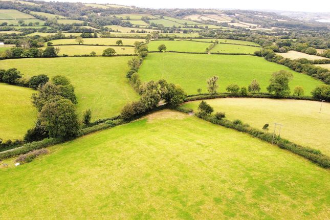 Land for sale in Lampeter Velfrey, Narberth, Pembrokeshire