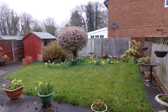 1, Crawley photo 2
