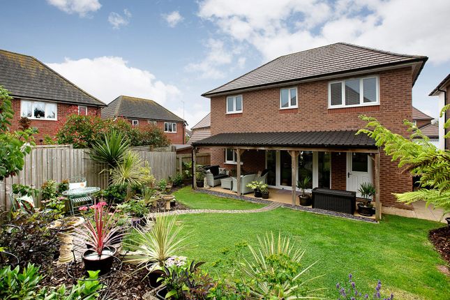 2 Avocet Place, Dawlish photo 4