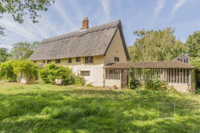 High Common Cottage, Wymondham Road, Norwich photo 3