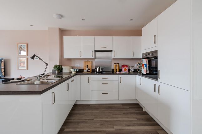 The Harrton - Plot 437, Orchard Grove, Egremont Road, Taunton photo 4