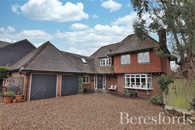 Thumbnail Detached house for sale in The Common, East Hanningfield