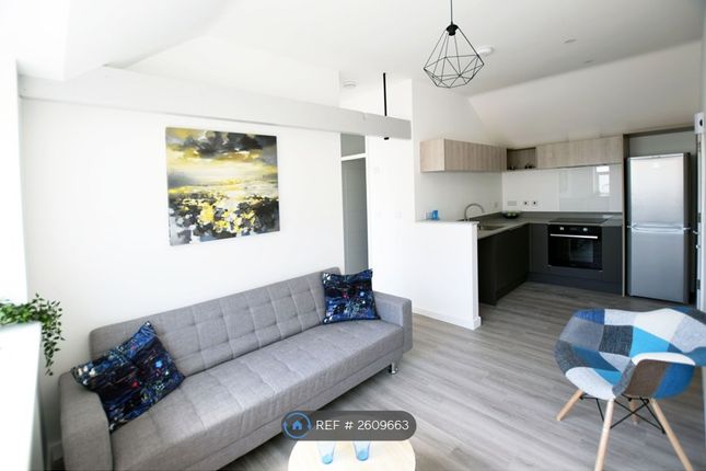 Living / Kitchen Area