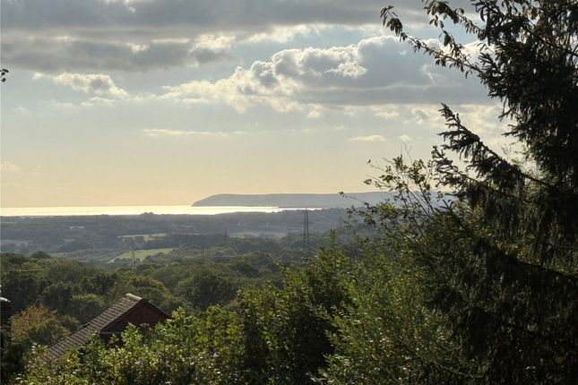 View From House