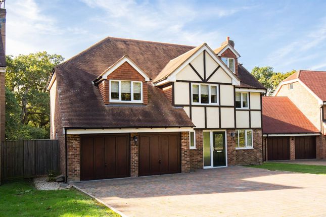 Thumbnail Property for sale in Quarr Hill, Binstead, Ryde