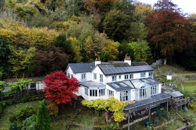 Rockbourne Update-15