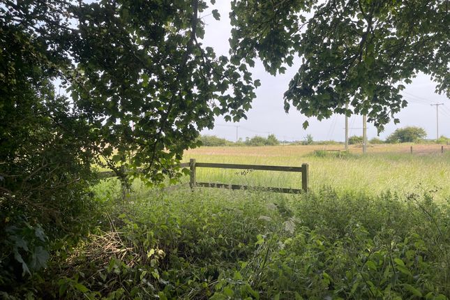 Plot 2, Farlesthorpe Road, Alford photo 5