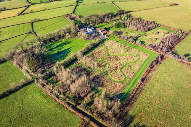 The House &amp; Land
