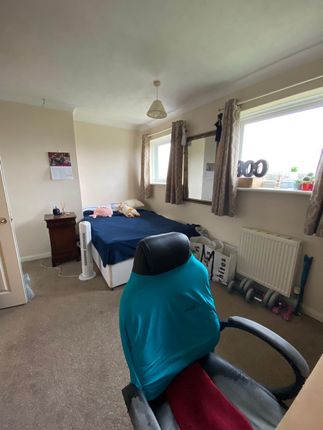 Thumbnail Shared accommodation to rent in Alyssum Walk, Colchester