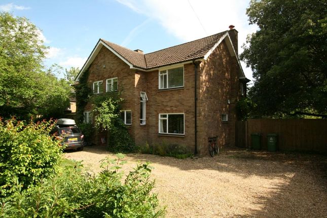 Thumbnail Detached house to rent in Clarkson Close, Cambridge