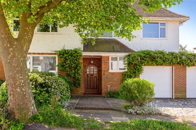 Thumbnail Detached house for sale in Onslow Road, Hove, East Sussex