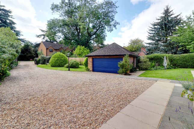 Detached bungalow for sale in Moulton Road, Pitsford, Northampton, Northamptonshire