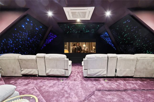 Cinema