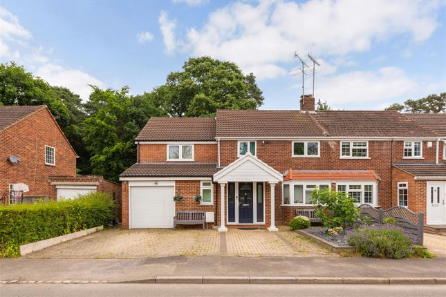 Thumbnail Semi-detached house to rent in Beechwood Close, Ascot