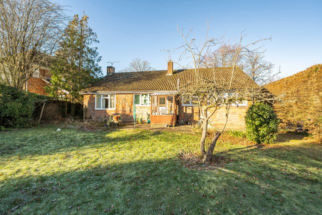 Detached bungalow for sale in Hampton Lane, Winchester