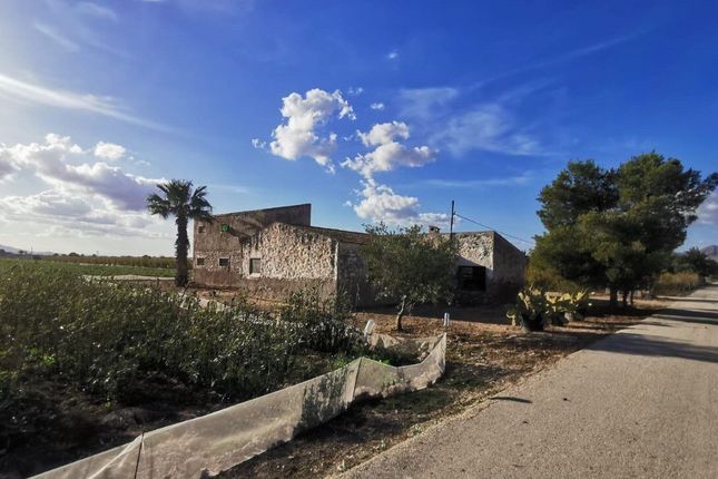 Land for sale in Albatera, Albatera, Alicante, Spain