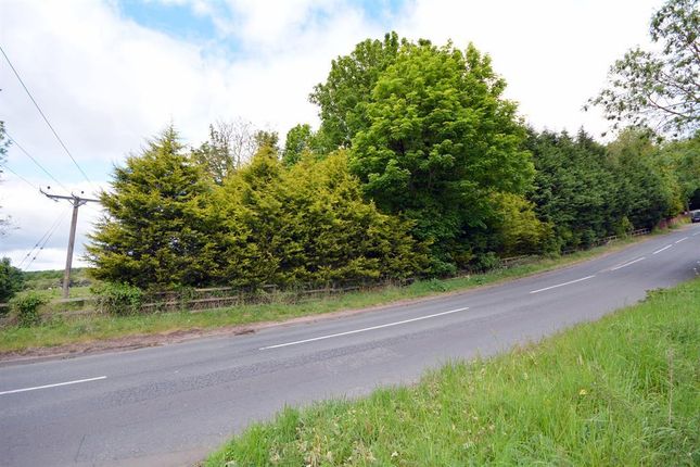 Land for sale in Stony Bank, Willington, Crook