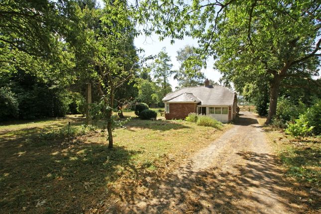 78, Sutton Spring Wood, Chesterfield photo 2