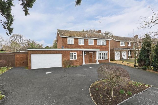 Thumbnail Detached house to rent in Bramble Rise, Cobham