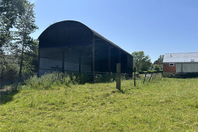 Barn At Northleigh,, Northleigh, Devon photo 2