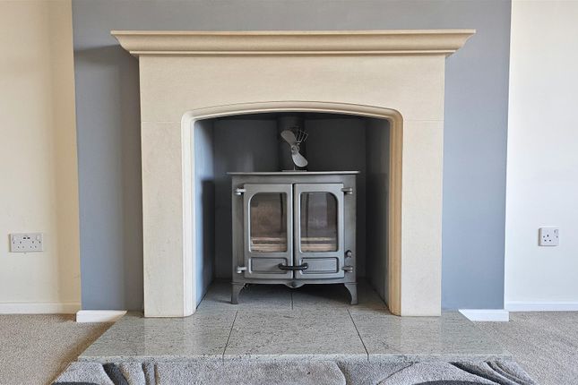 Log Burner