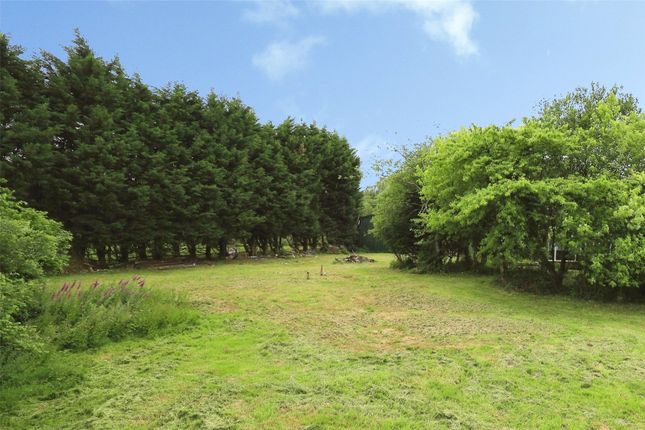 LAND- Hoards Farm,, Marklye Lane, East Sussex photo 4