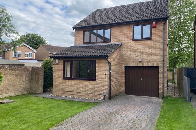 Thumbnail Detached house to rent in Parham Walk, Swindon