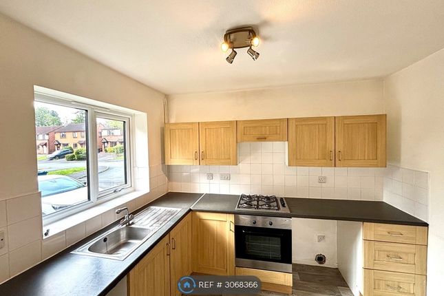 Armstrong Avenue, Stafford photo 5