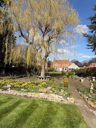 West Park Garden 1.Jpg