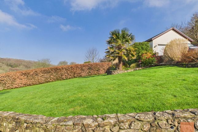 Southview, Perranporth photo 3