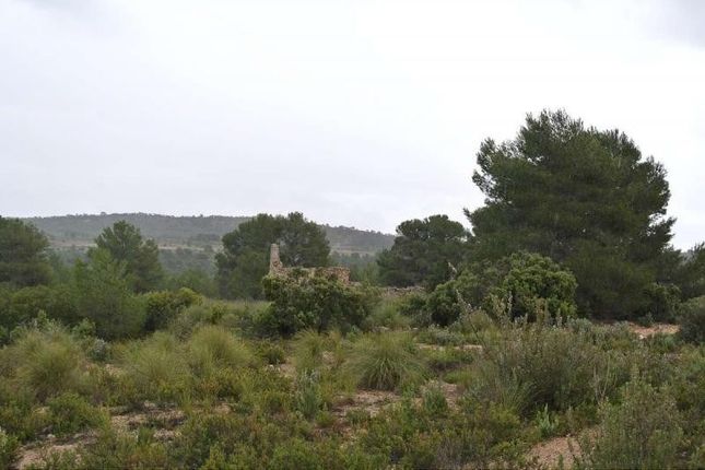 Land for sale in 30510 Yecla, Murcia, Spain
