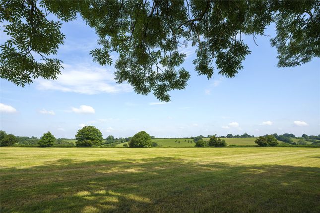 Grounds