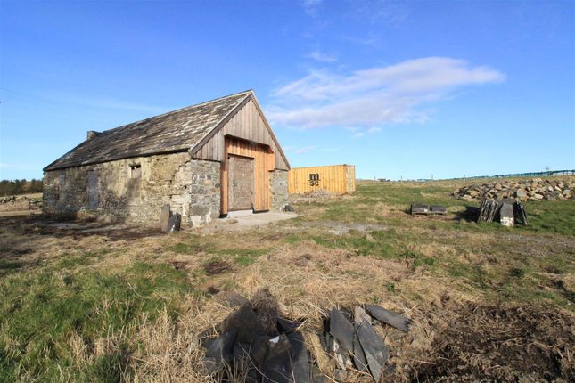 Land for sale in Honeysuckle Barn, Camster Road, Roster