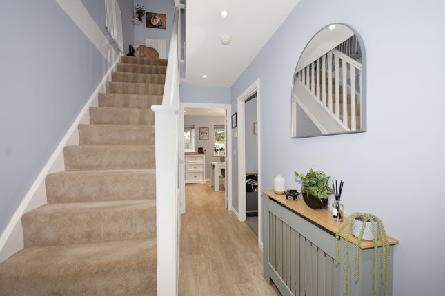 7, Donsmead Drive, Rye photo 5