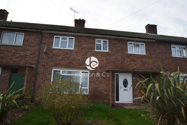 Thumbnail Terraced house to rent in Hawthorn Avenue, Colchester
