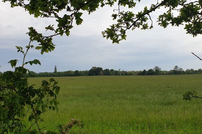 Land for sale in Hall Lane, Dickleburgh, Diss
