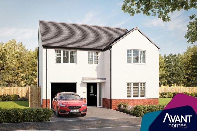Thumbnail Detached house for sale in "The Stirling" at Sycamore Drive, Penicuik